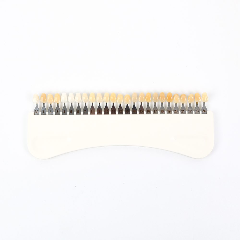 3D Teeth Whitening Shade Guide - Teeth Whitening Shade Guide 评论和价格