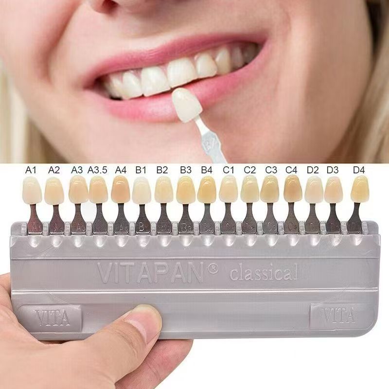 VITA 16 Colors Teeth Shade Gui - Teeth Whitening Shade Guide 评论和价格