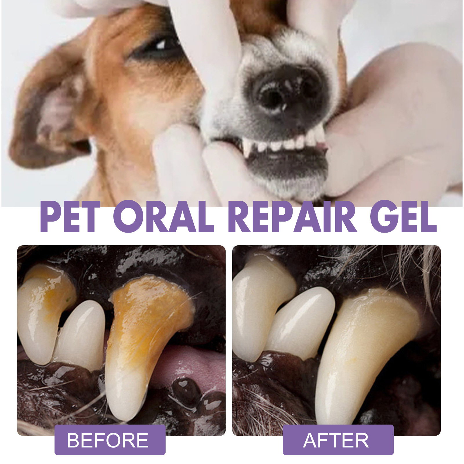 Pet Oral Repair Gel Puppy Tart - Teeth Whitening Clinic 评论和价格