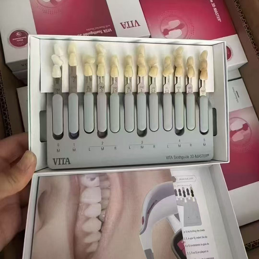 4 Models VITA Toothguide Denta - Teeth Whitening Shade Guide 评论和价格